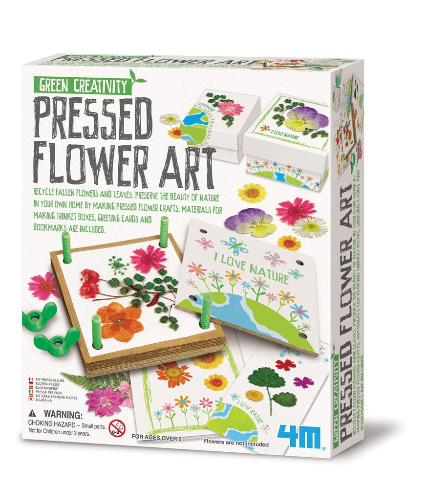 4M - Green Science - Pressed Flower Art