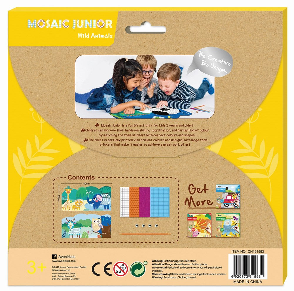 Picture Mosaic Junior Craft Kit